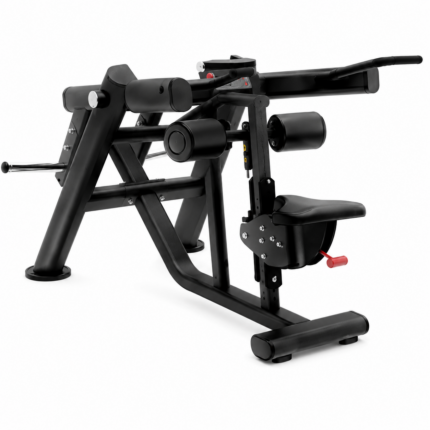 Fondos Tríceps - Life Fitness