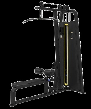Polea Dual HF10